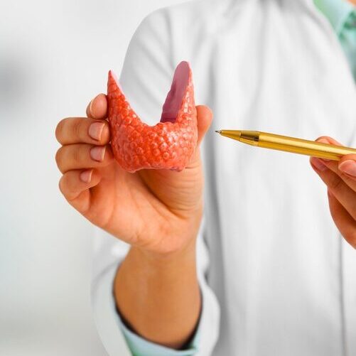medical,professional,holding,a,thyroid,gland,model,and,pointing,with