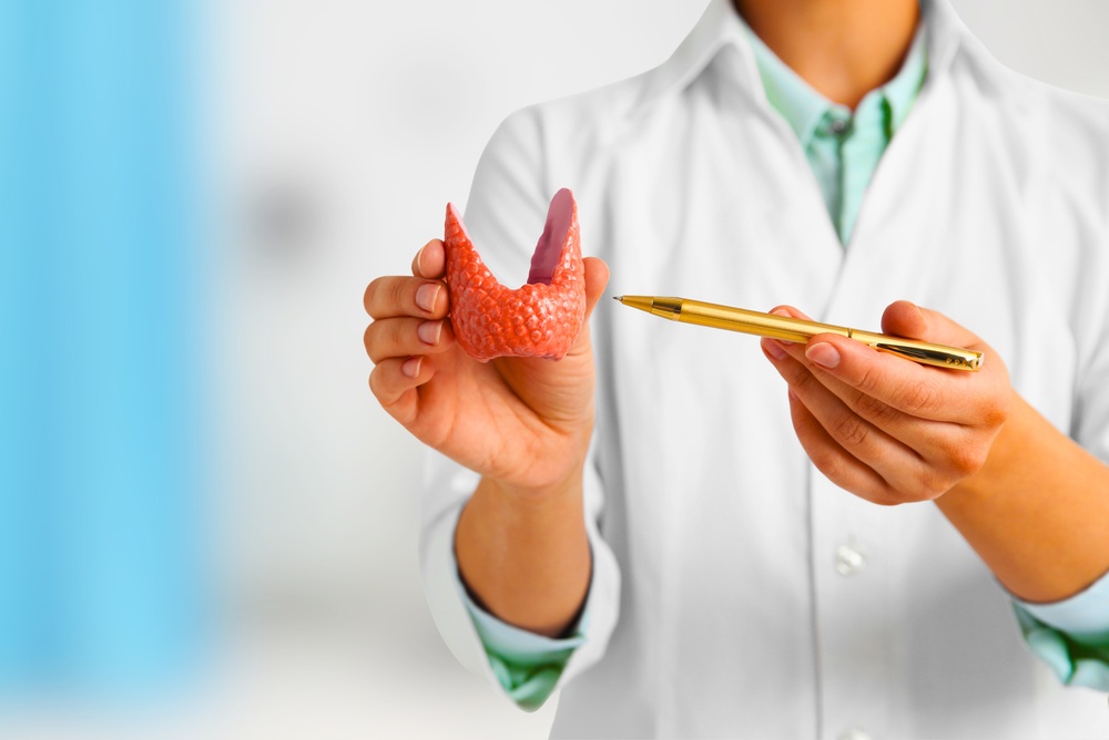 About medical,professional,holding,a,thyroid,gland,model,and,pointing,with