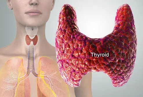 Treatments image